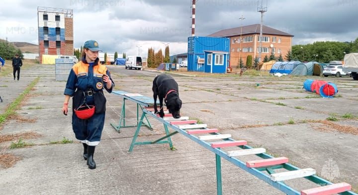 Кинологи спасательного центра приняли участие в кинологических сборах в Республике Ингушетия.